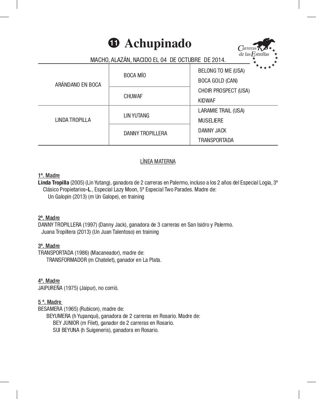 Vista previa del archivo PDF cuadernillo2016-alta-arsa.pdf