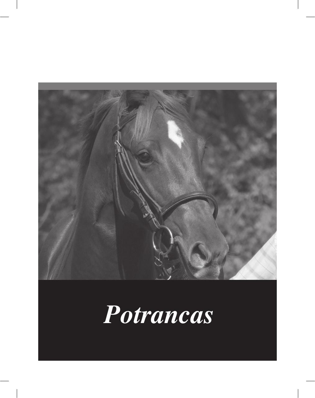 Vista previa del archivo PDF cuadernillo2016-alta-arsa.pdf