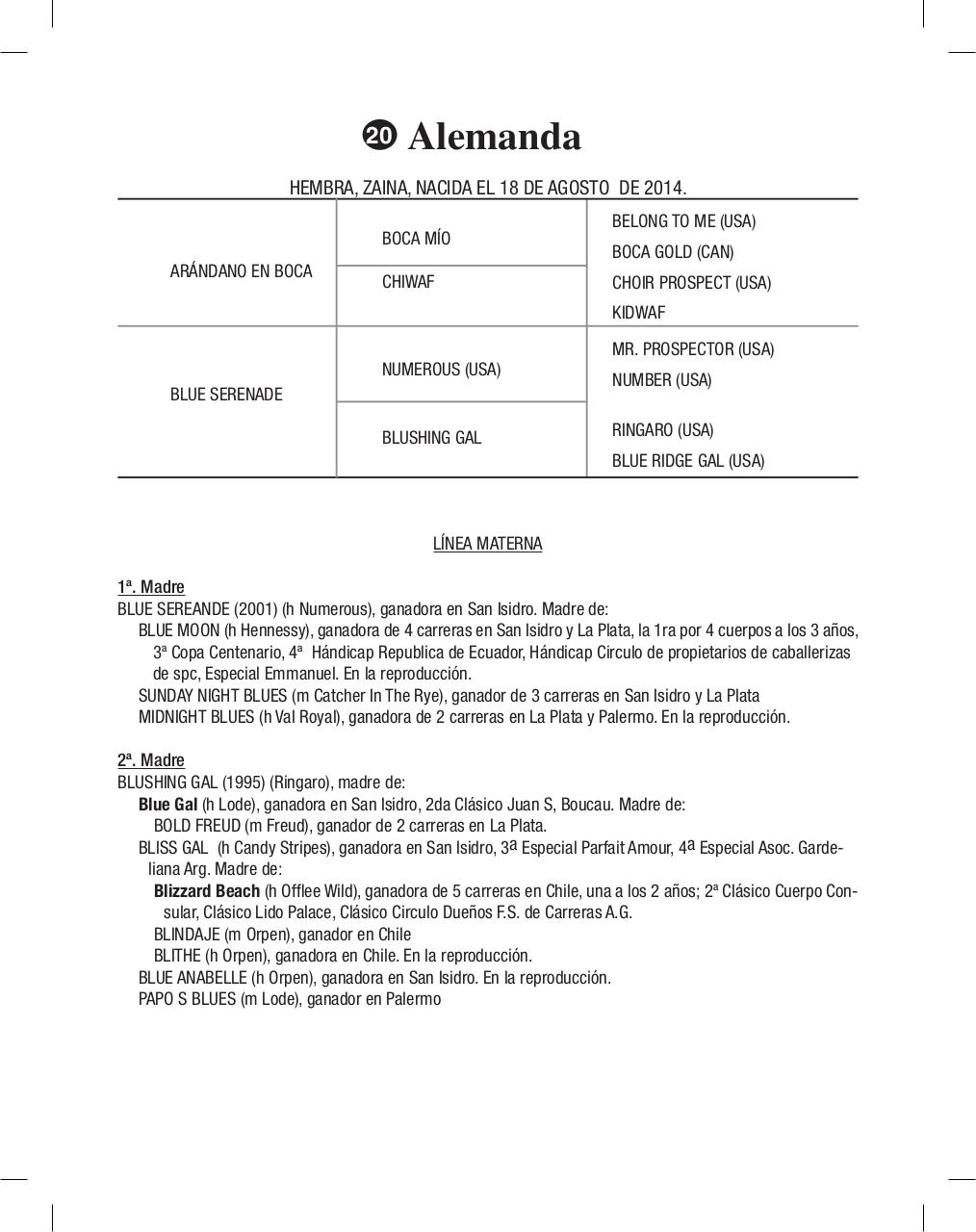 Vista previa del archivo PDF cuadernillo2016-alta-arsa.pdf