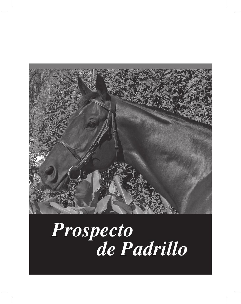 Vista previa del archivo PDF cuadernillo2016-alta-arsa.pdf