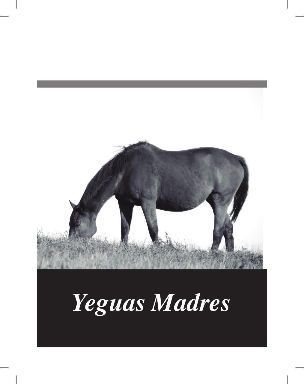 Vista previa del archivo PDF cuadernillo2016-alta-arsa.pdf