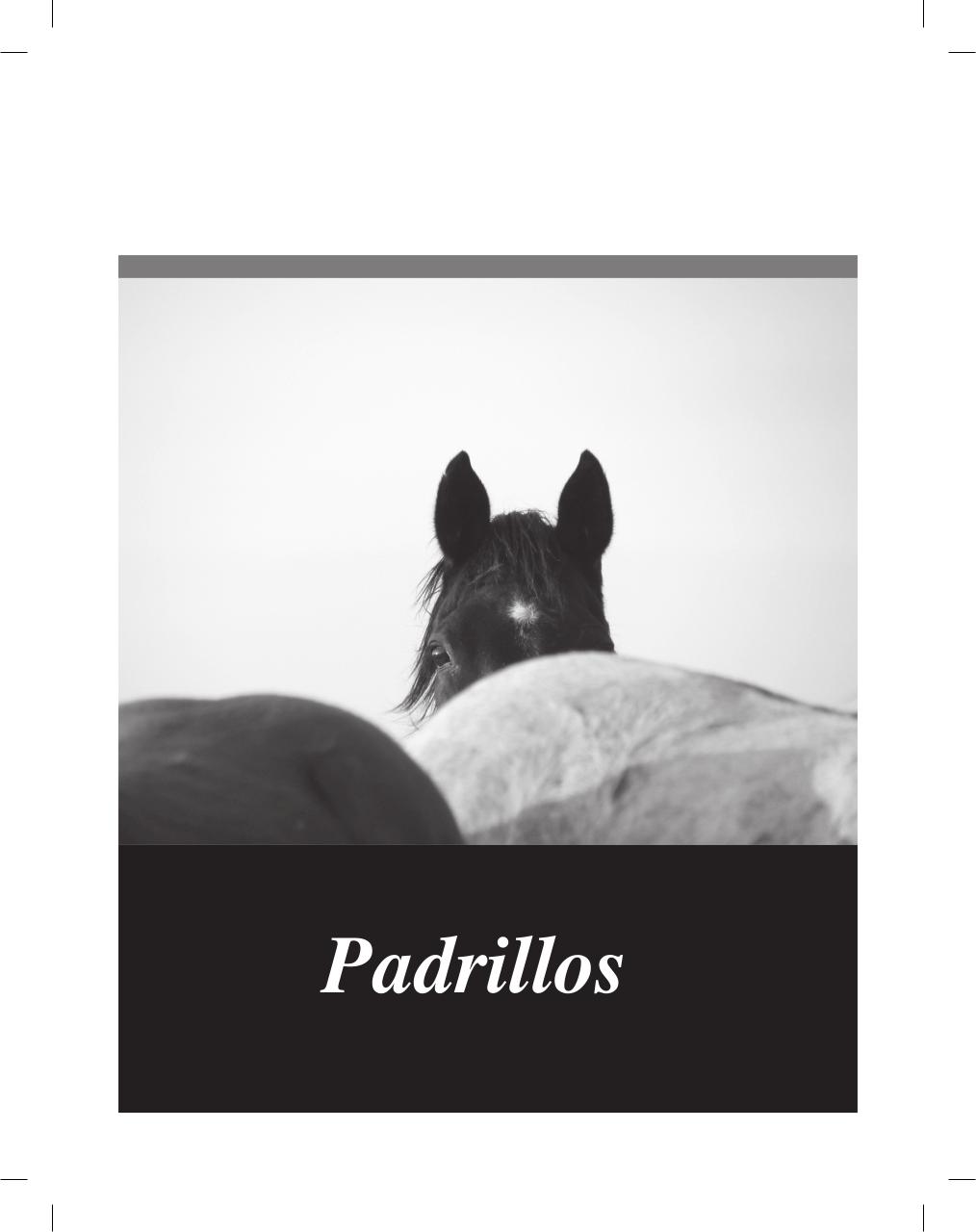 Vista previa del archivo PDF cuadernillo2016-alta-arsa.pdf