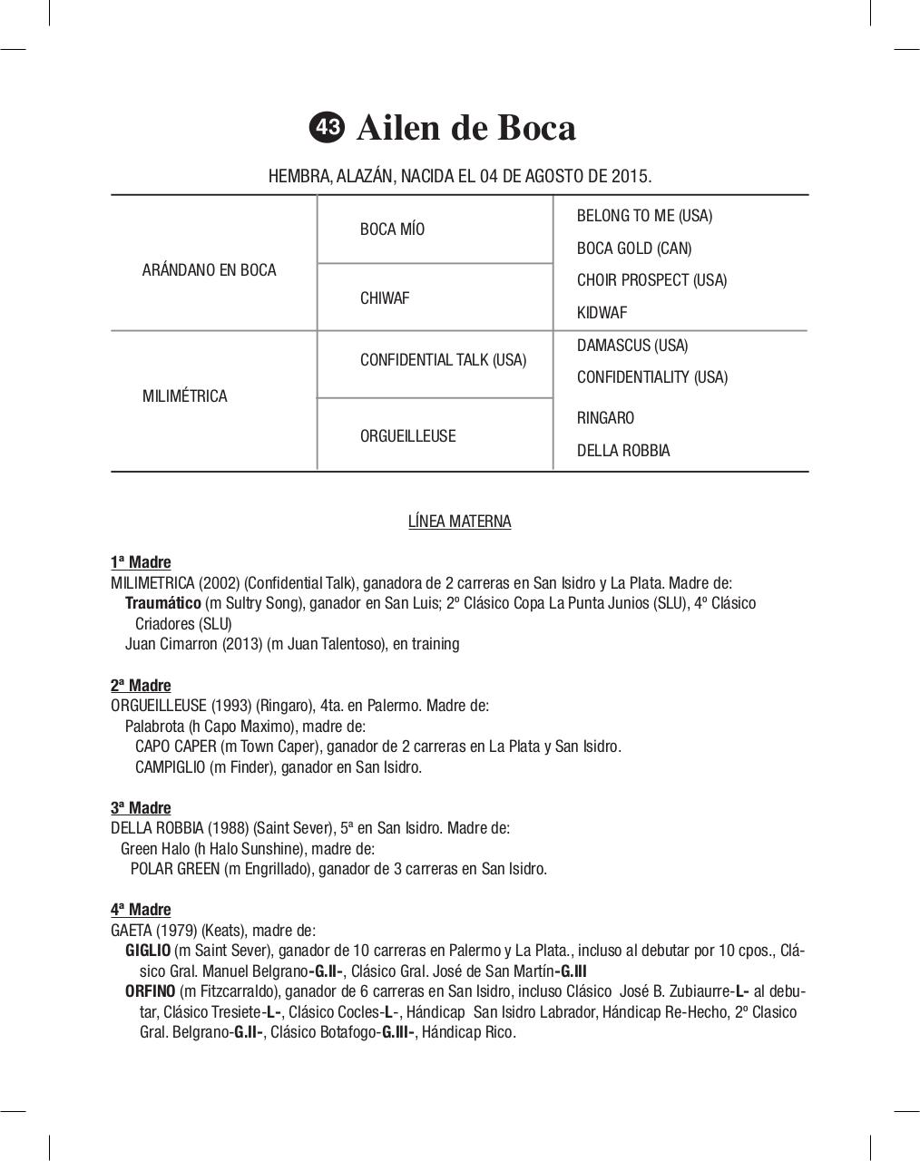 Vista previa del archivo PDF cuadernillo2016-alta-arsa.pdf