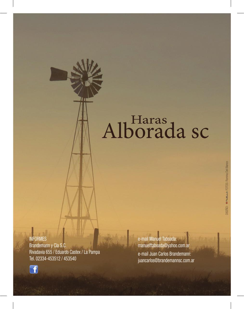 Vista previa del archivo PDF cuadernillo2016-alta-arsa.pdf