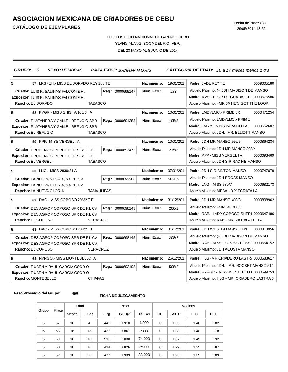 Vista previa del archivo PDF catahembbrahgris.pdf