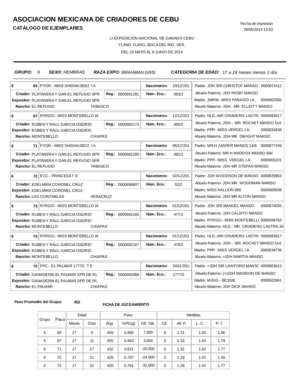 Vista previa del archivo PDF catahembbrahgris.pdf