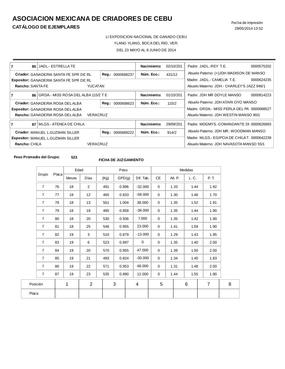 Vista previa del archivo PDF catahembbrahgris.pdf