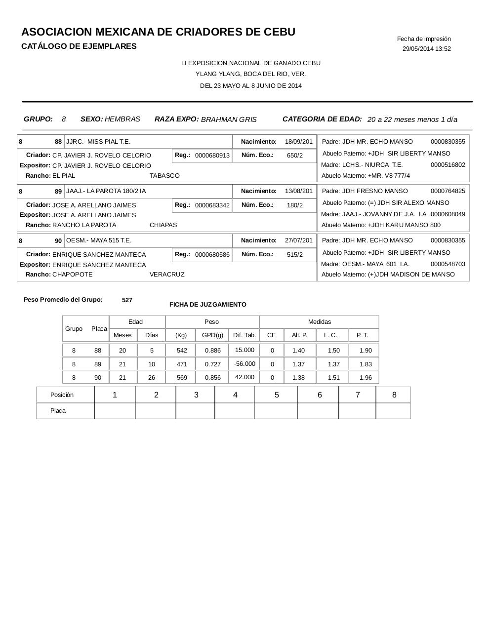Vista previa del archivo PDF catahembbrahgris.pdf