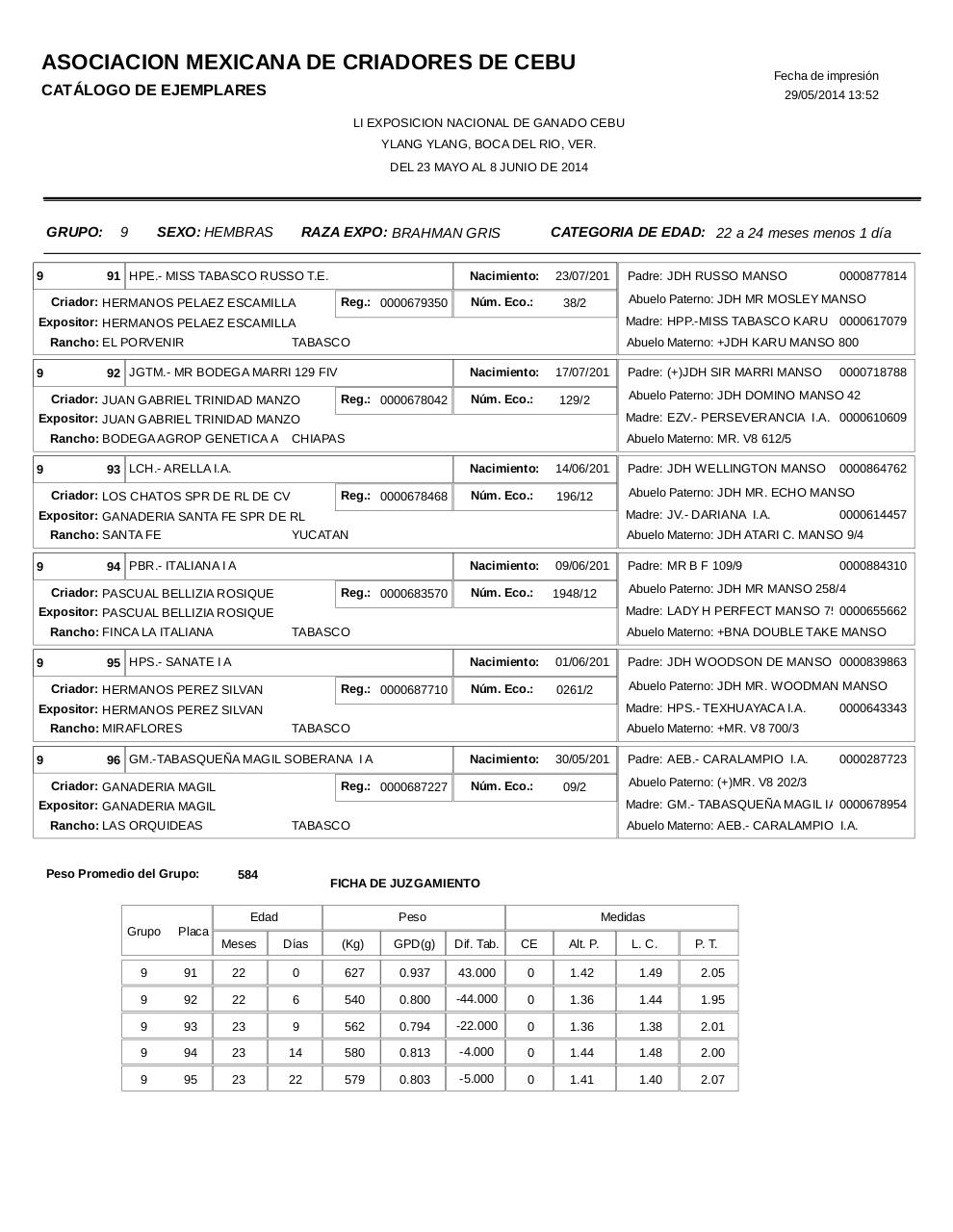 Vista previa del archivo PDF catahembbrahgris.pdf