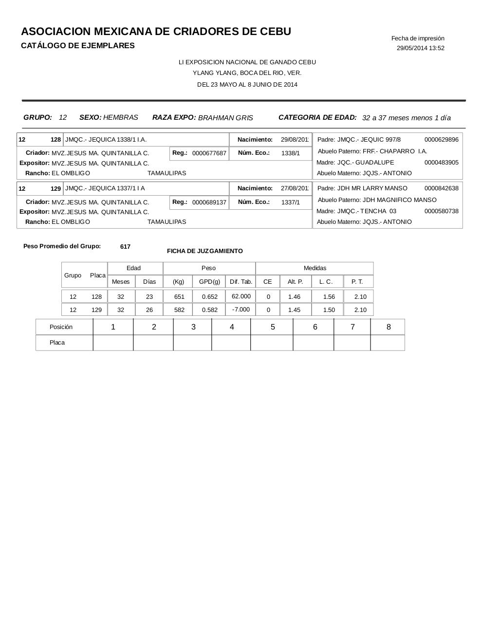 Vista previa del archivo PDF catahembbrahgris.pdf