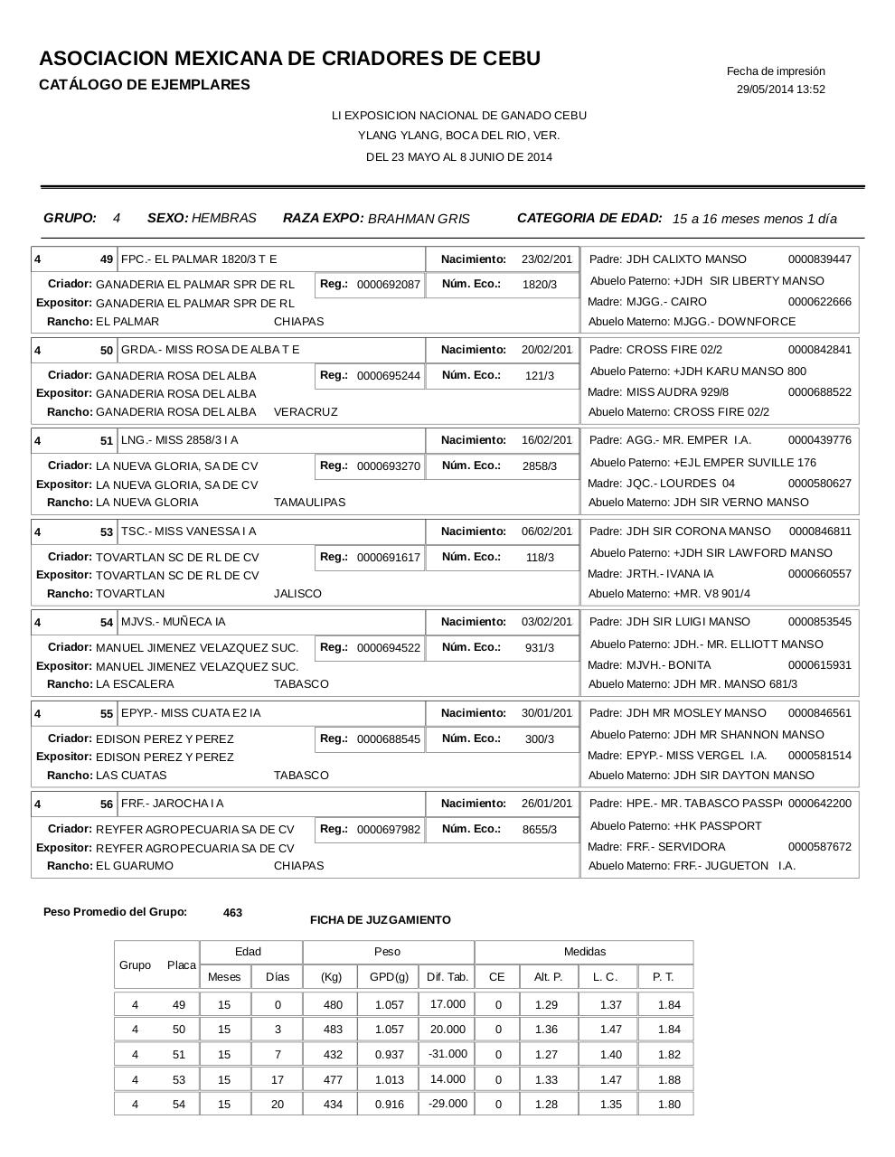 Vista previa del archivo PDF catahembbrahgris.pdf