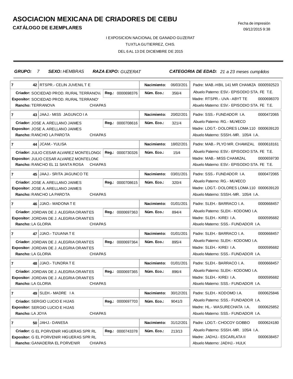 Vista previa del archivo PDF catalogoguzerat.pdf