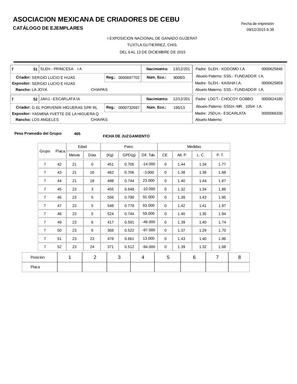 Vista previa del archivo PDF catalogoguzerat.pdf