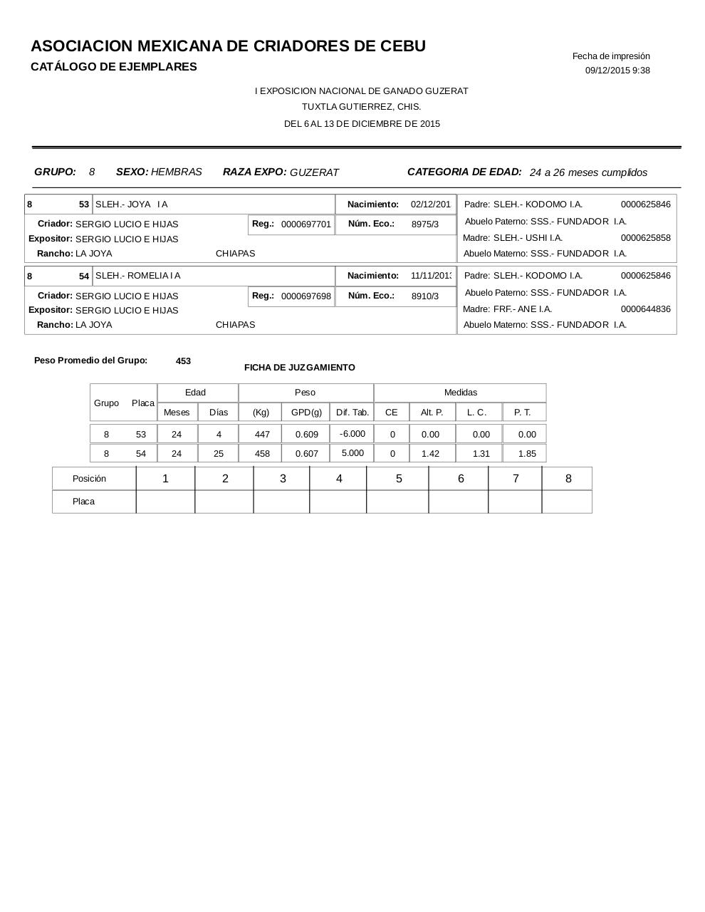 Vista previa del archivo PDF catalogoguzerat.pdf