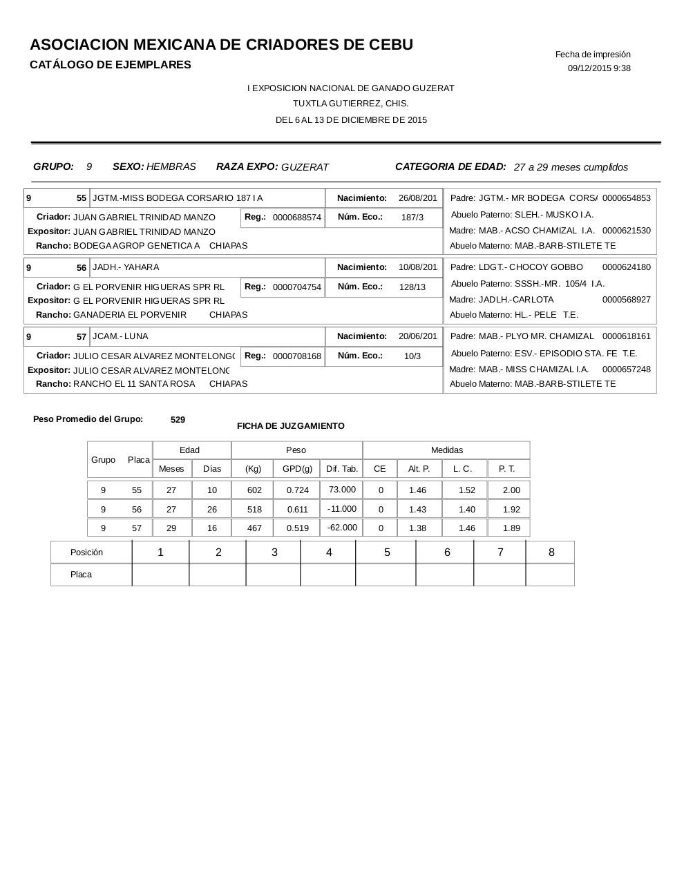 Vista previa del archivo PDF catalogoguzerat.pdf