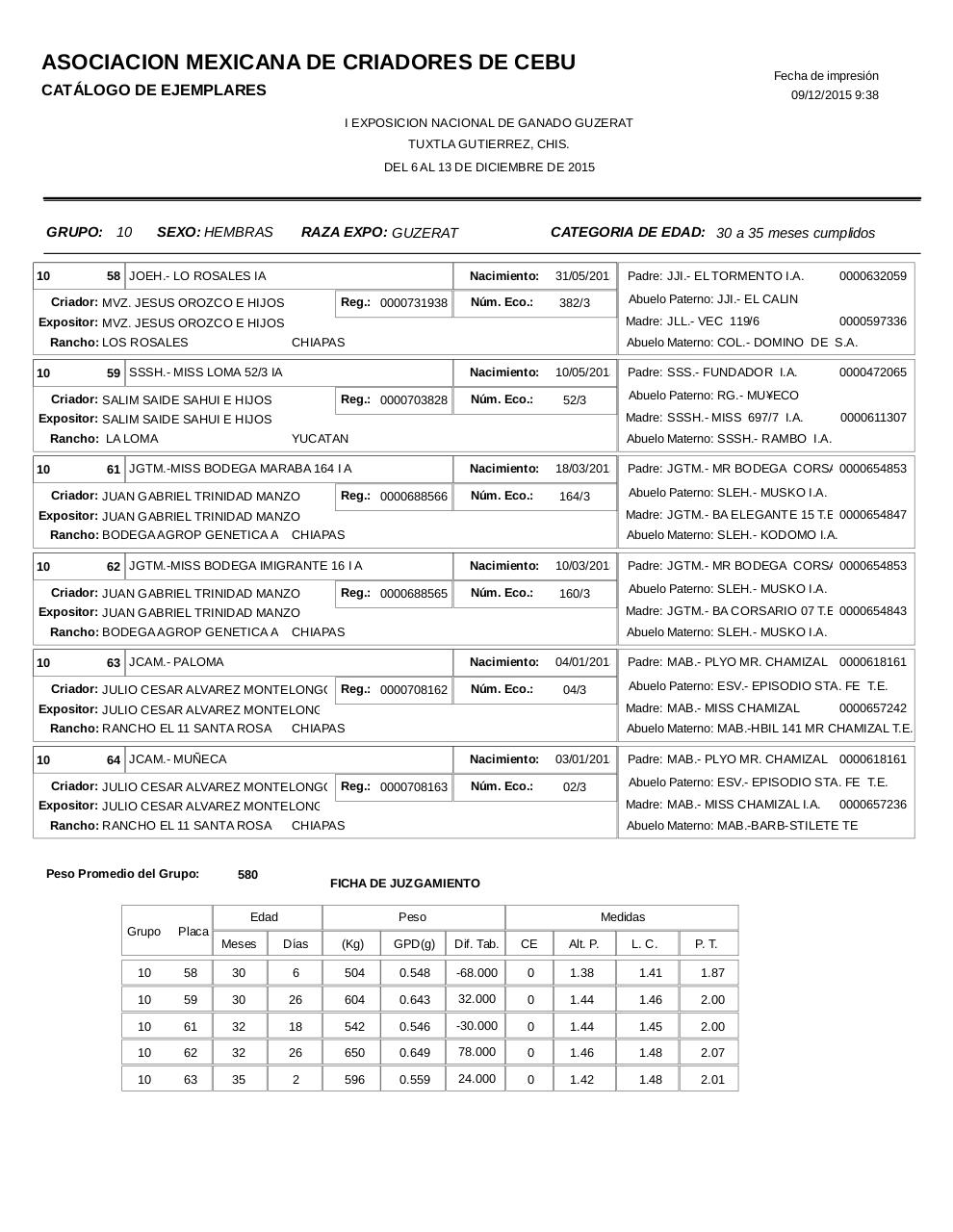 Vista previa del archivo PDF catalogoguzerat.pdf