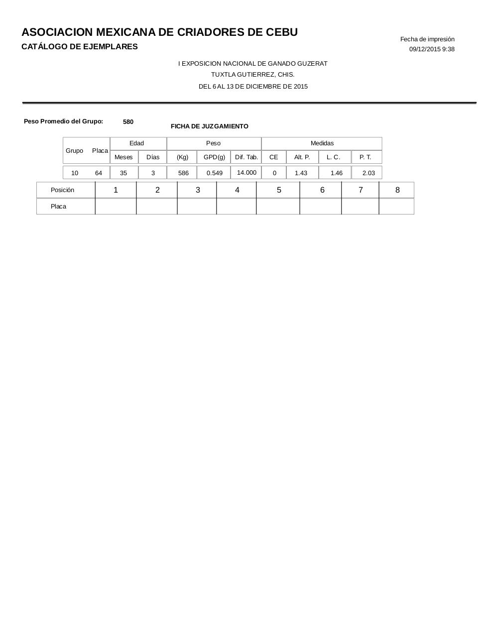 Vista previa del archivo PDF catalogoguzerat.pdf
