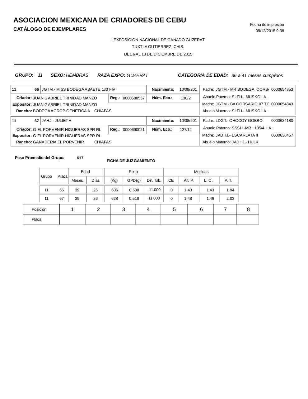 Vista previa del archivo PDF catalogoguzerat.pdf