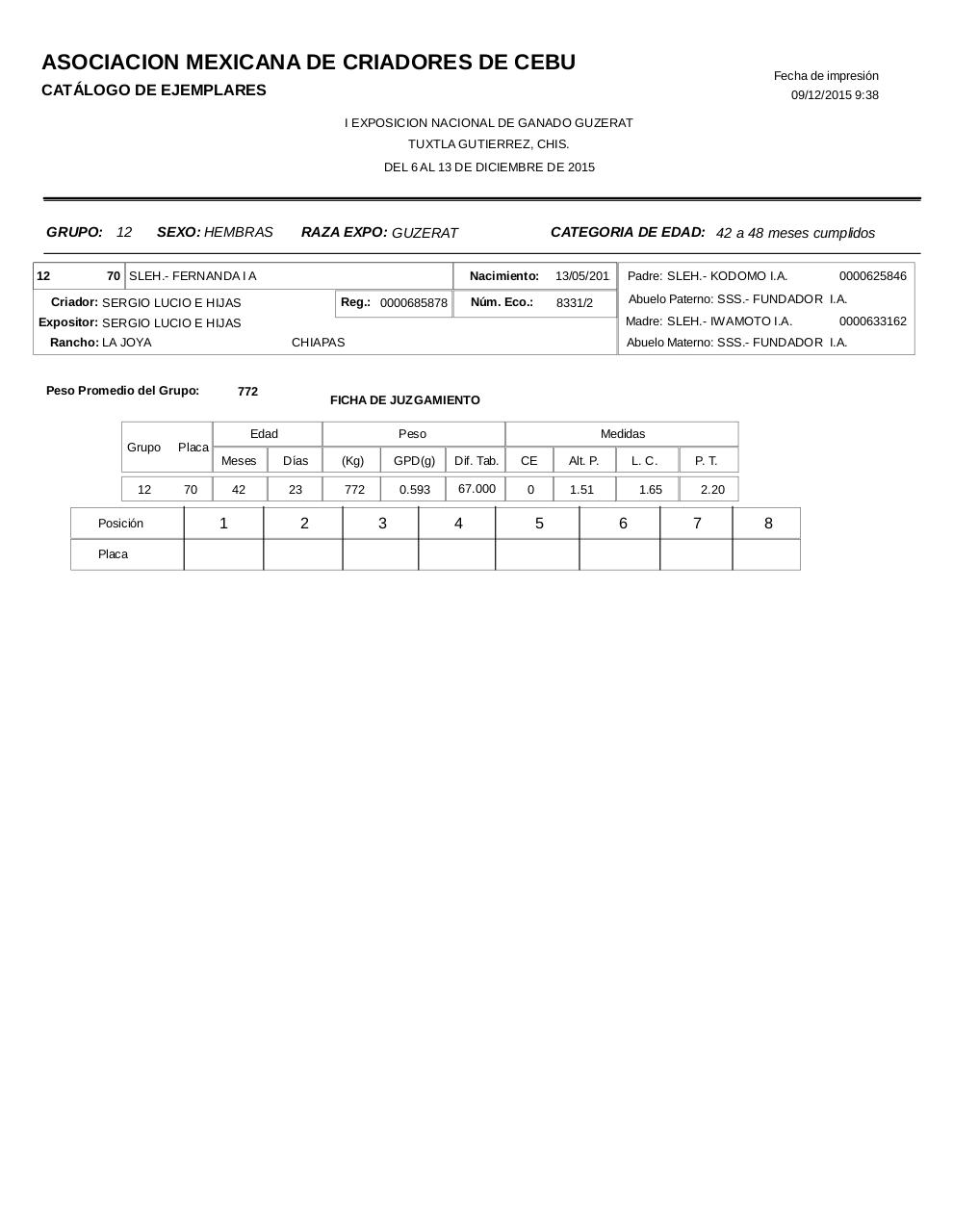 Vista previa del archivo PDF catalogoguzerat.pdf