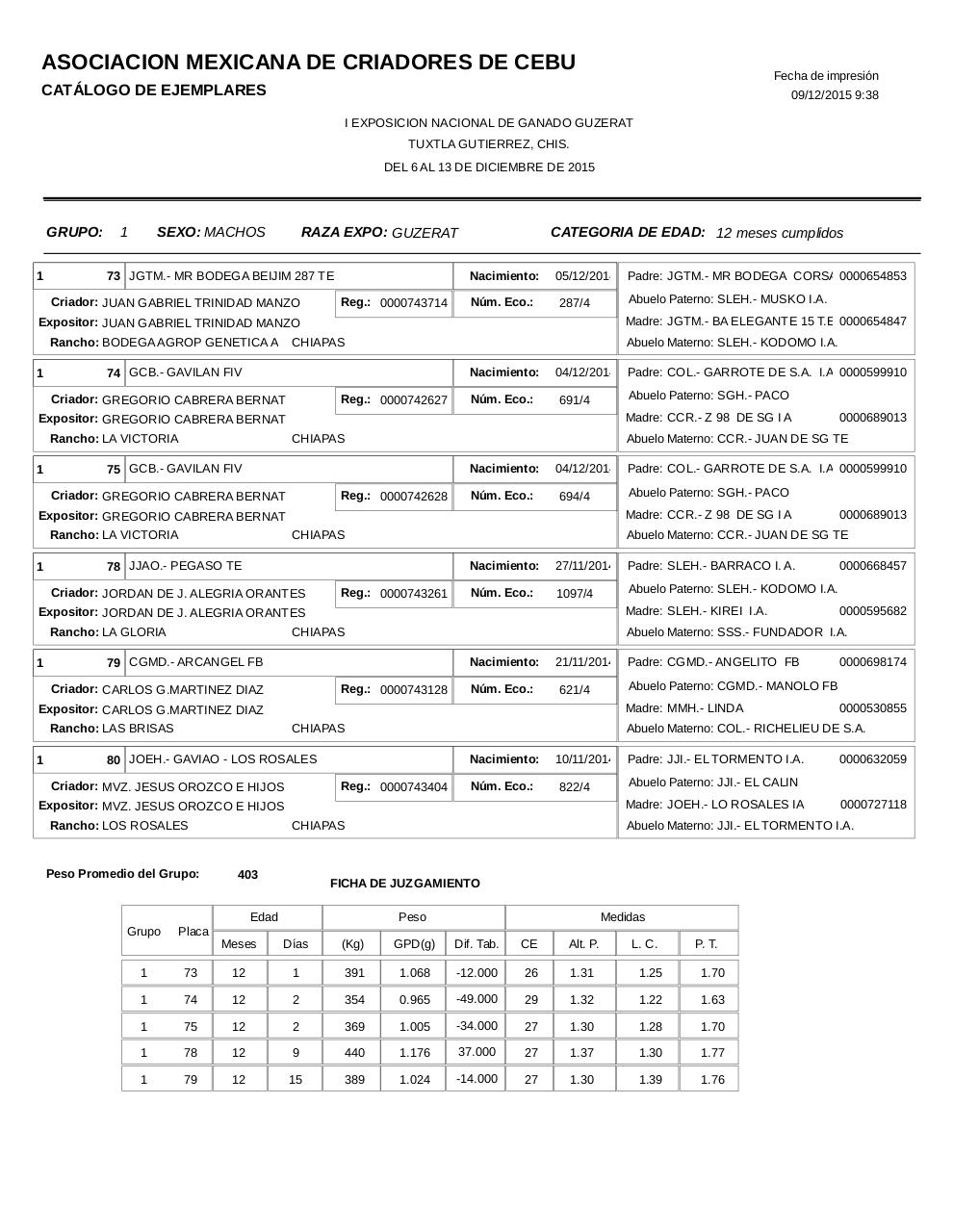 Vista previa del archivo PDF catalogoguzerat.pdf