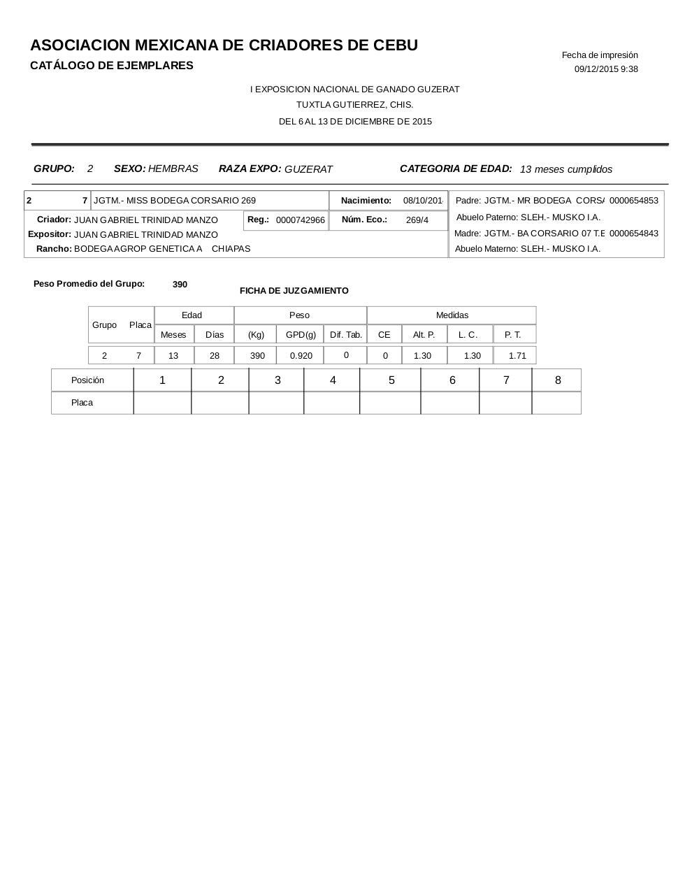 Vista previa del archivo PDF catalogoguzerat.pdf