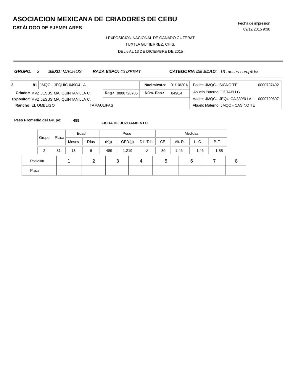 Vista previa del archivo PDF catalogoguzerat.pdf
