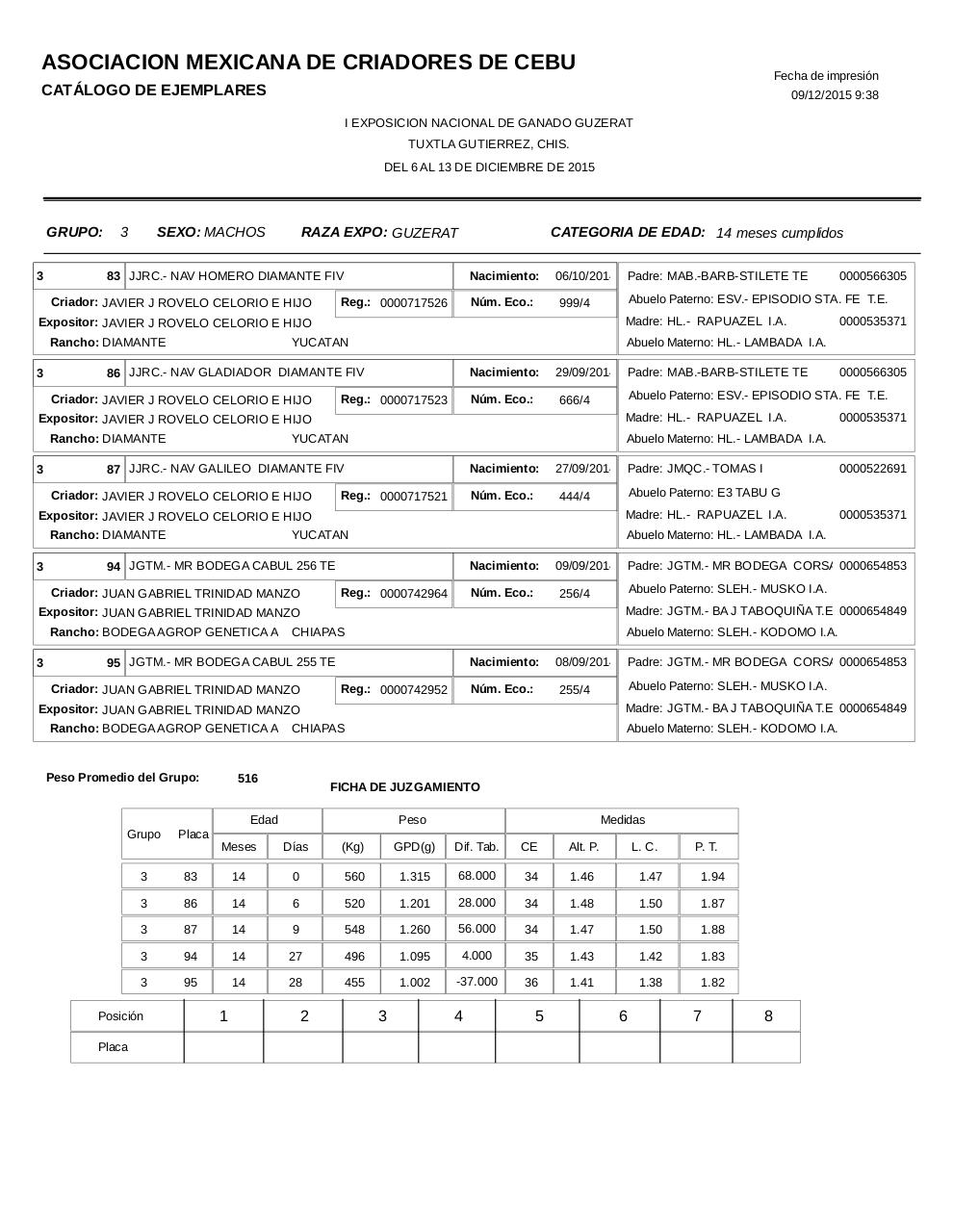 Vista previa del archivo PDF catalogoguzerat.pdf