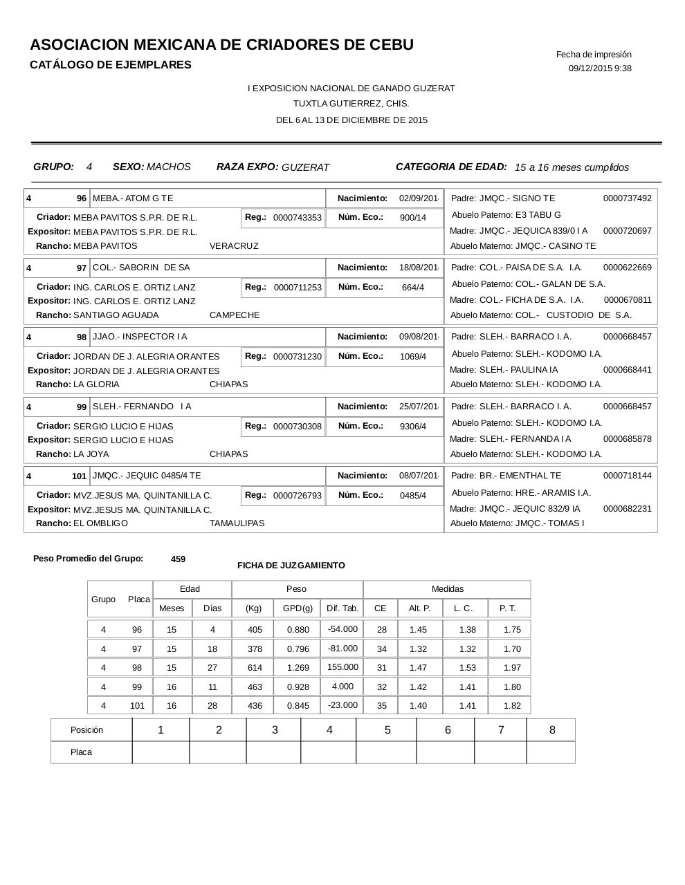 Vista previa del archivo PDF catalogoguzerat.pdf