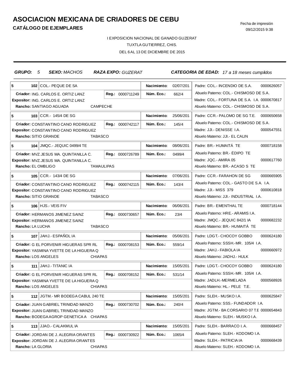 Vista previa del archivo PDF catalogoguzerat.pdf