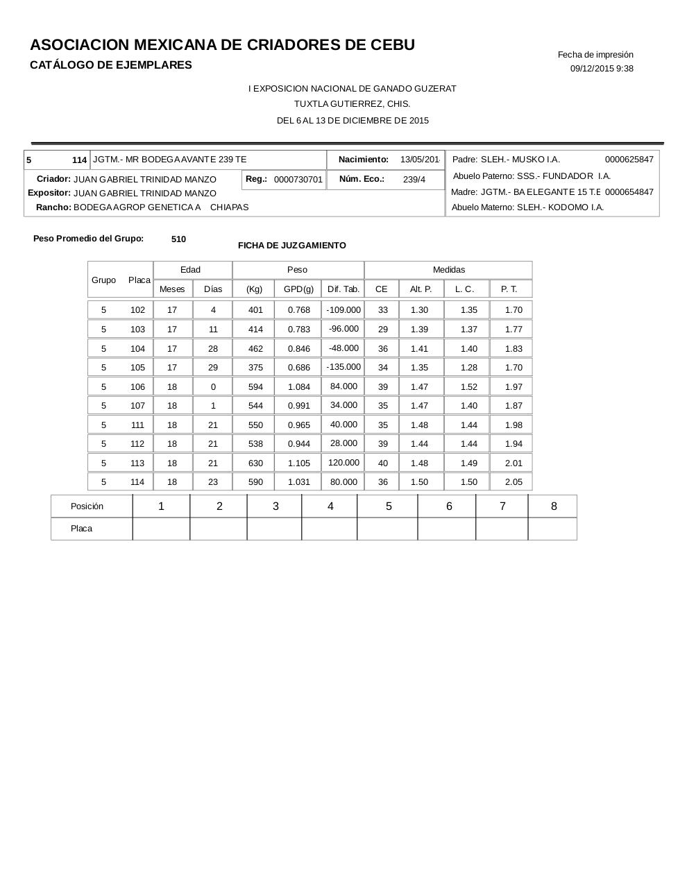 Vista previa del archivo PDF catalogoguzerat.pdf