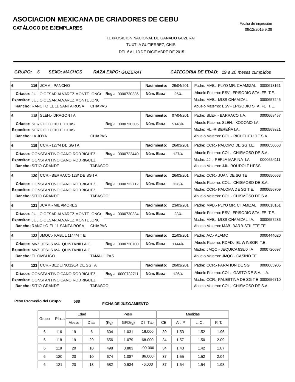 Vista previa del archivo PDF catalogoguzerat.pdf