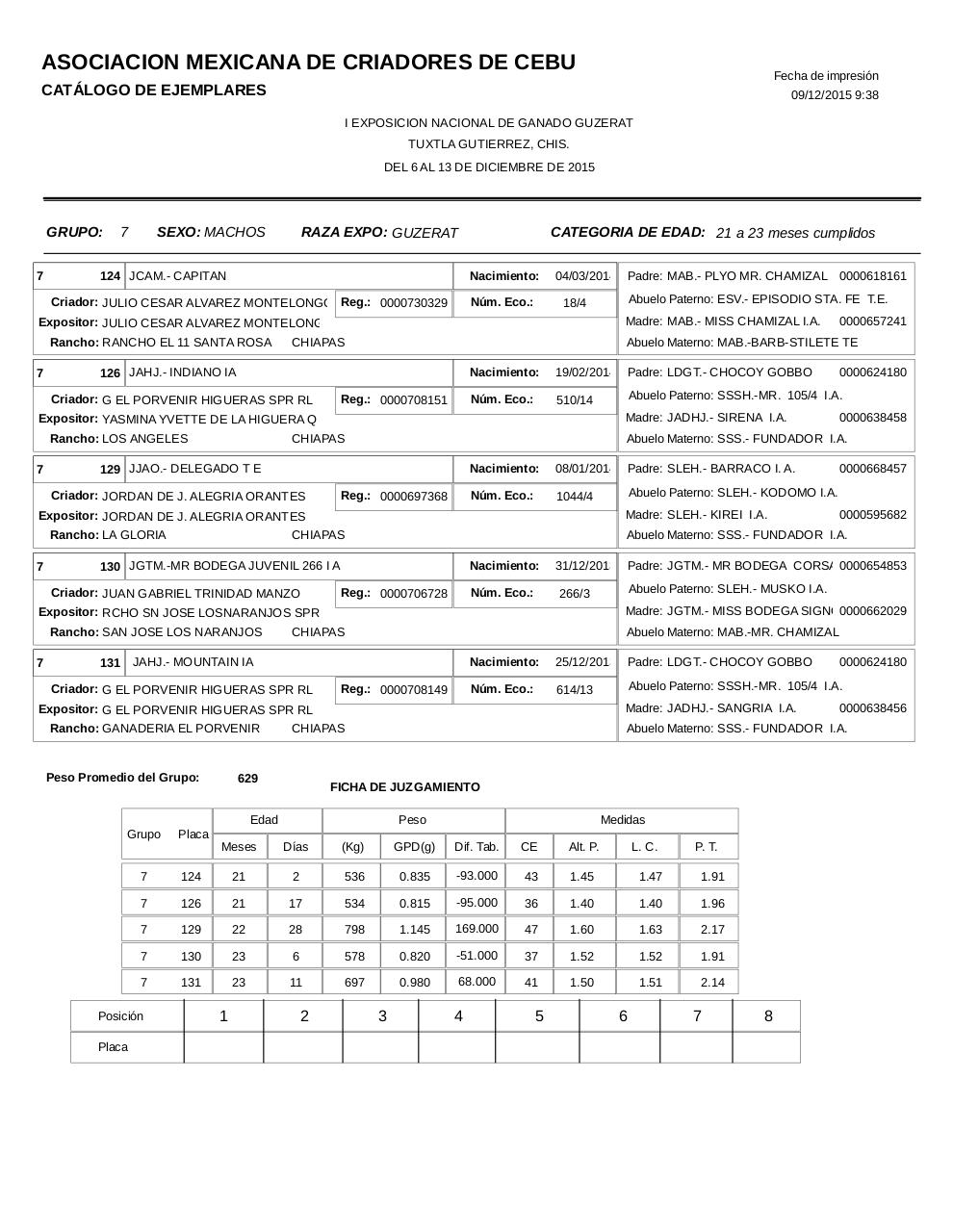 Vista previa del archivo PDF catalogoguzerat.pdf