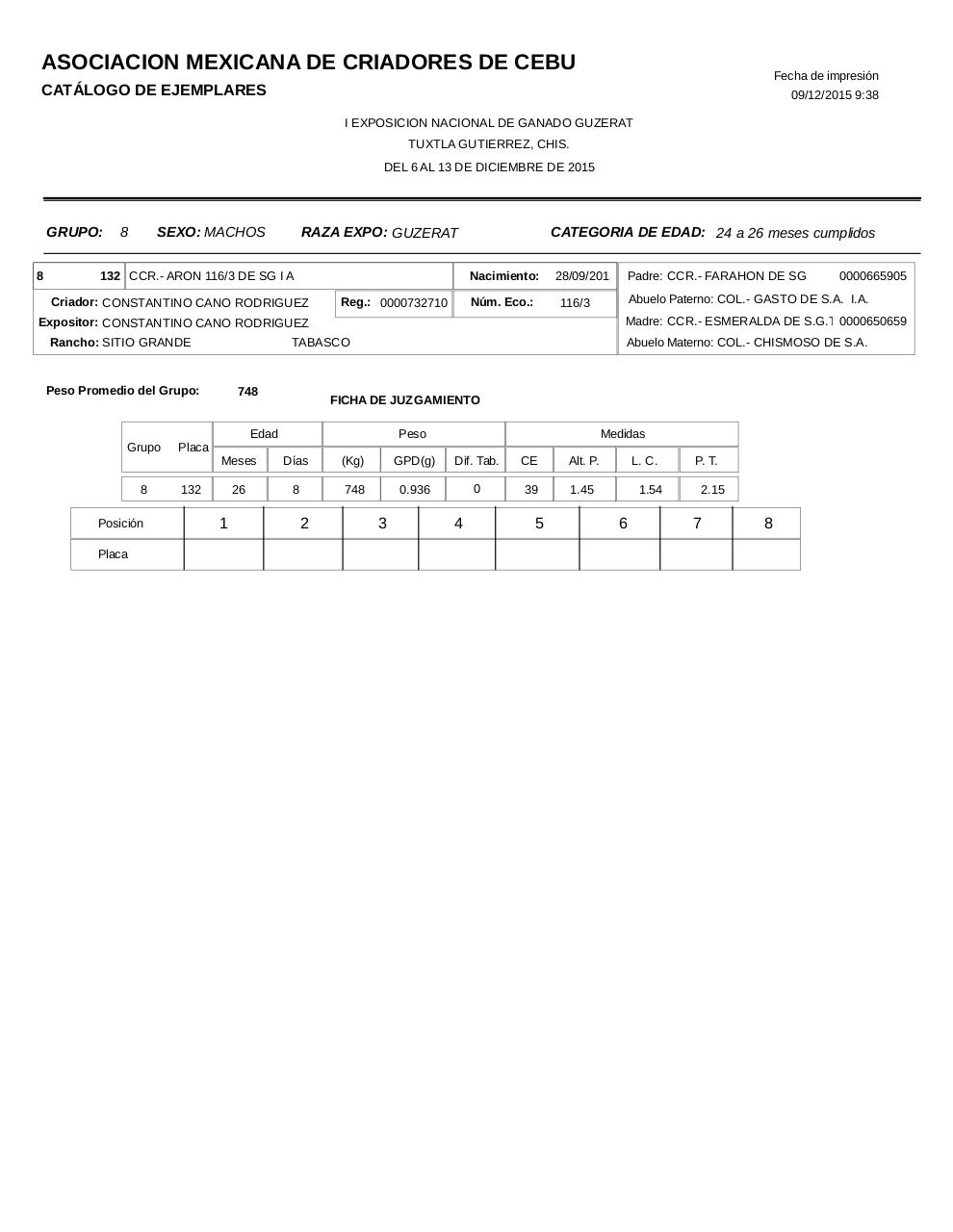 Vista previa del archivo PDF catalogoguzerat.pdf