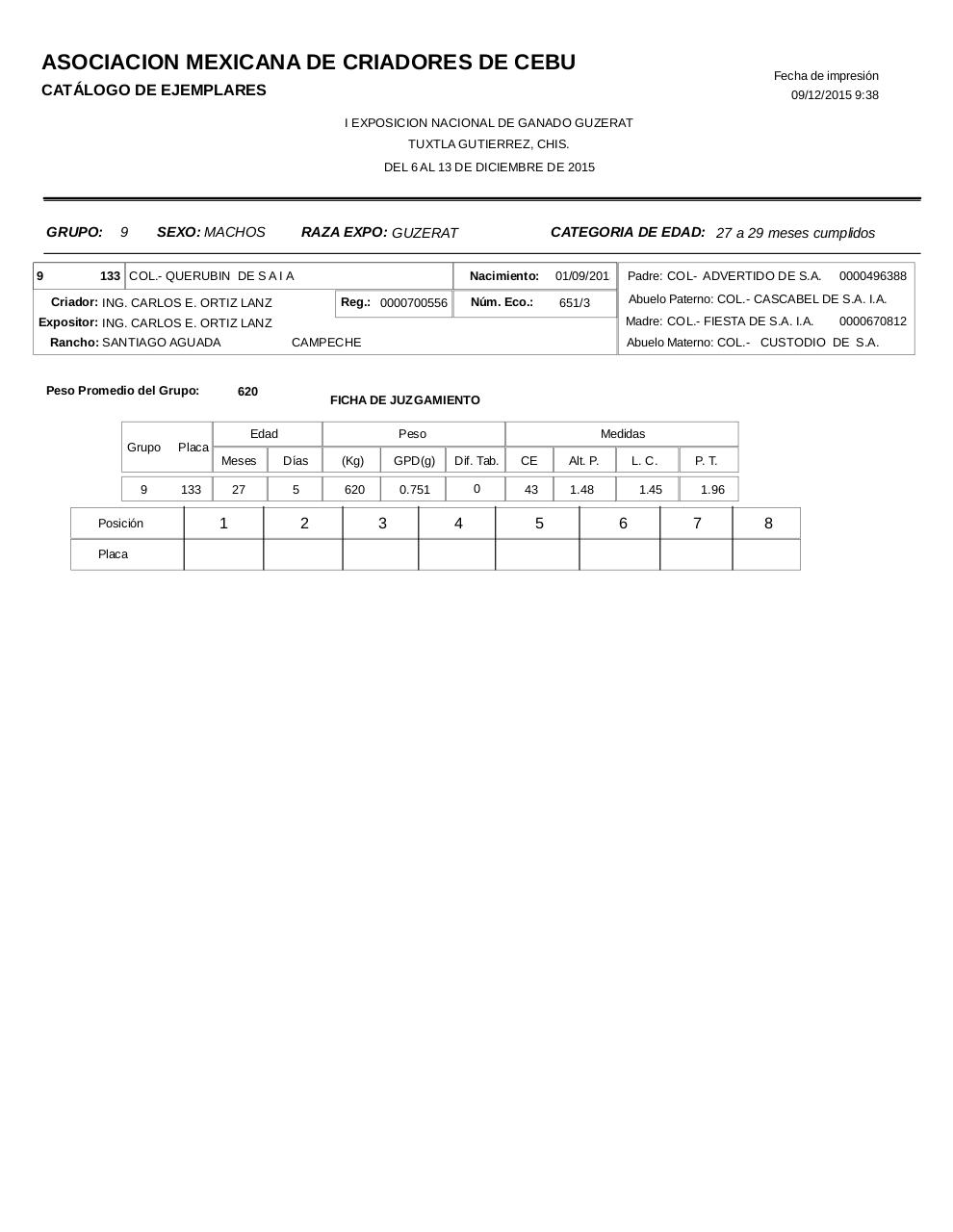 Vista previa del archivo PDF catalogoguzerat.pdf