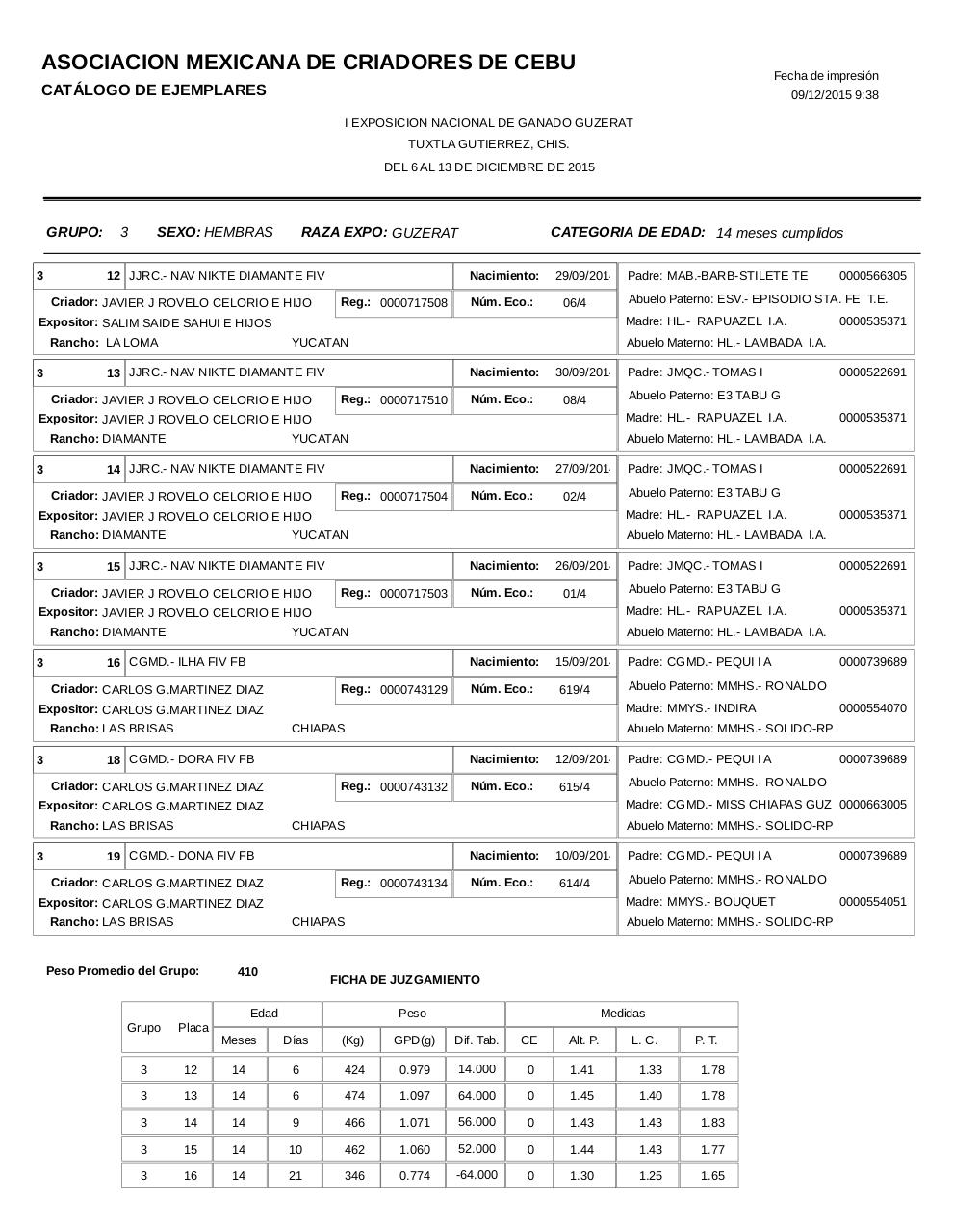 Vista previa del archivo PDF catalogoguzerat.pdf