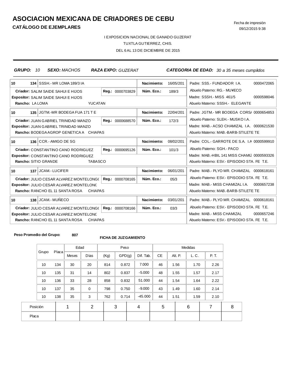 Vista previa del archivo PDF catalogoguzerat.pdf