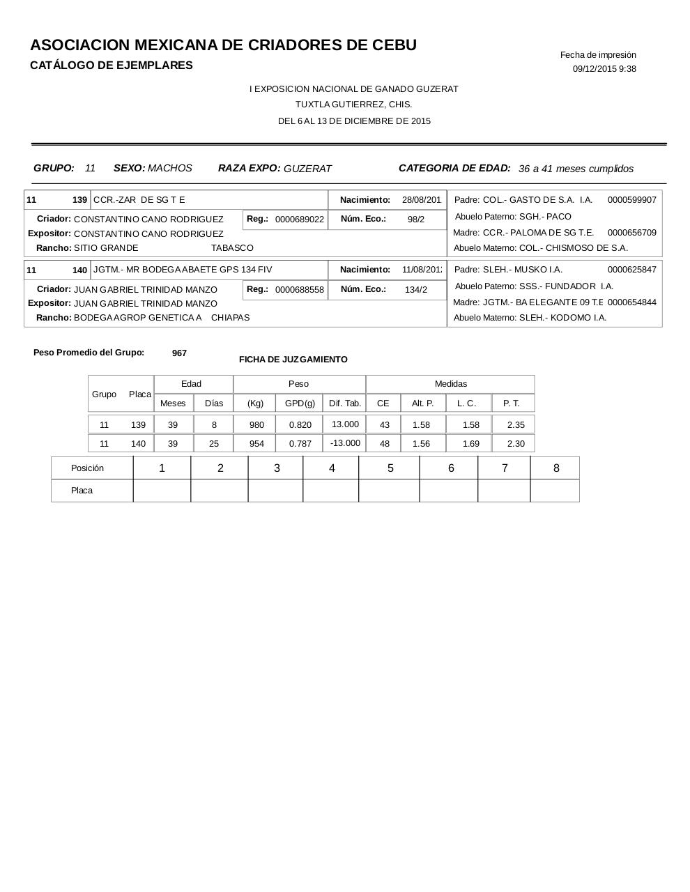 Vista previa del archivo PDF catalogoguzerat.pdf