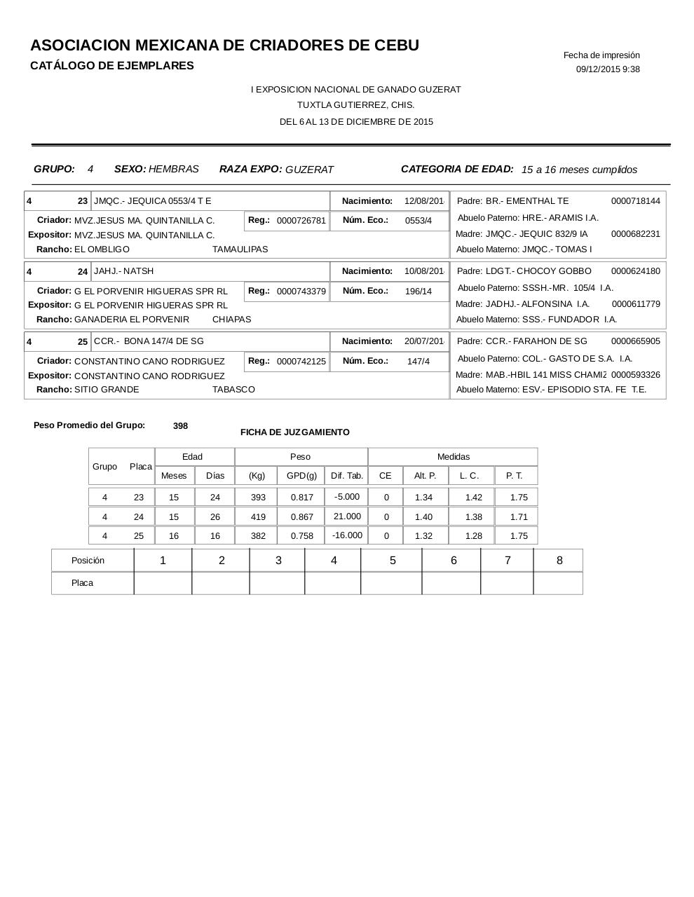 Vista previa del archivo PDF catalogoguzerat.pdf