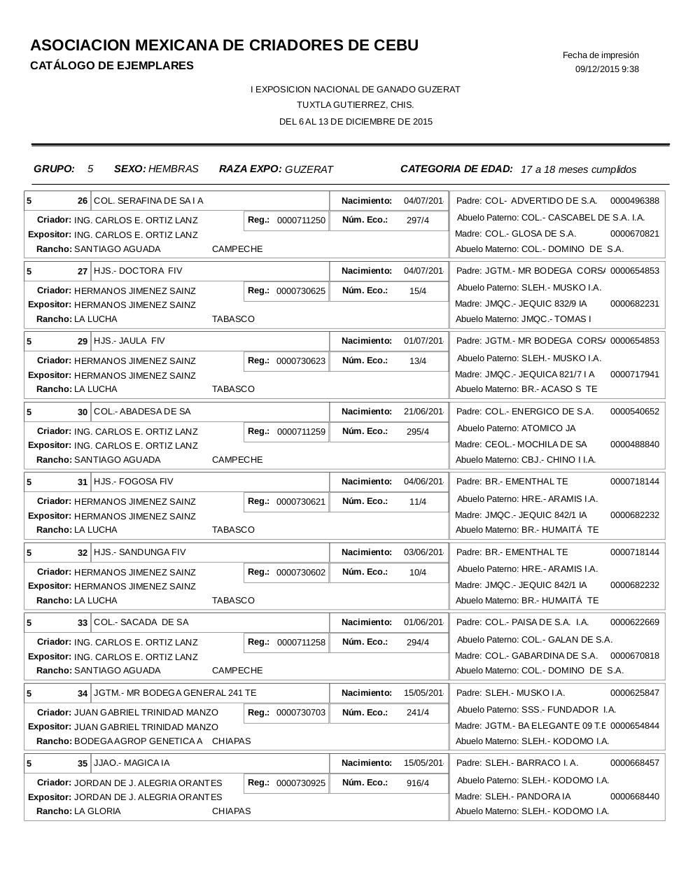 Vista previa del archivo PDF catalogoguzerat.pdf