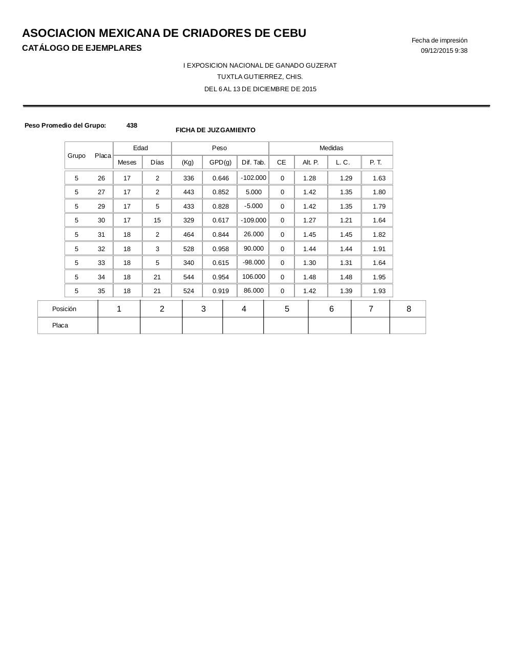 Vista previa del archivo PDF catalogoguzerat.pdf