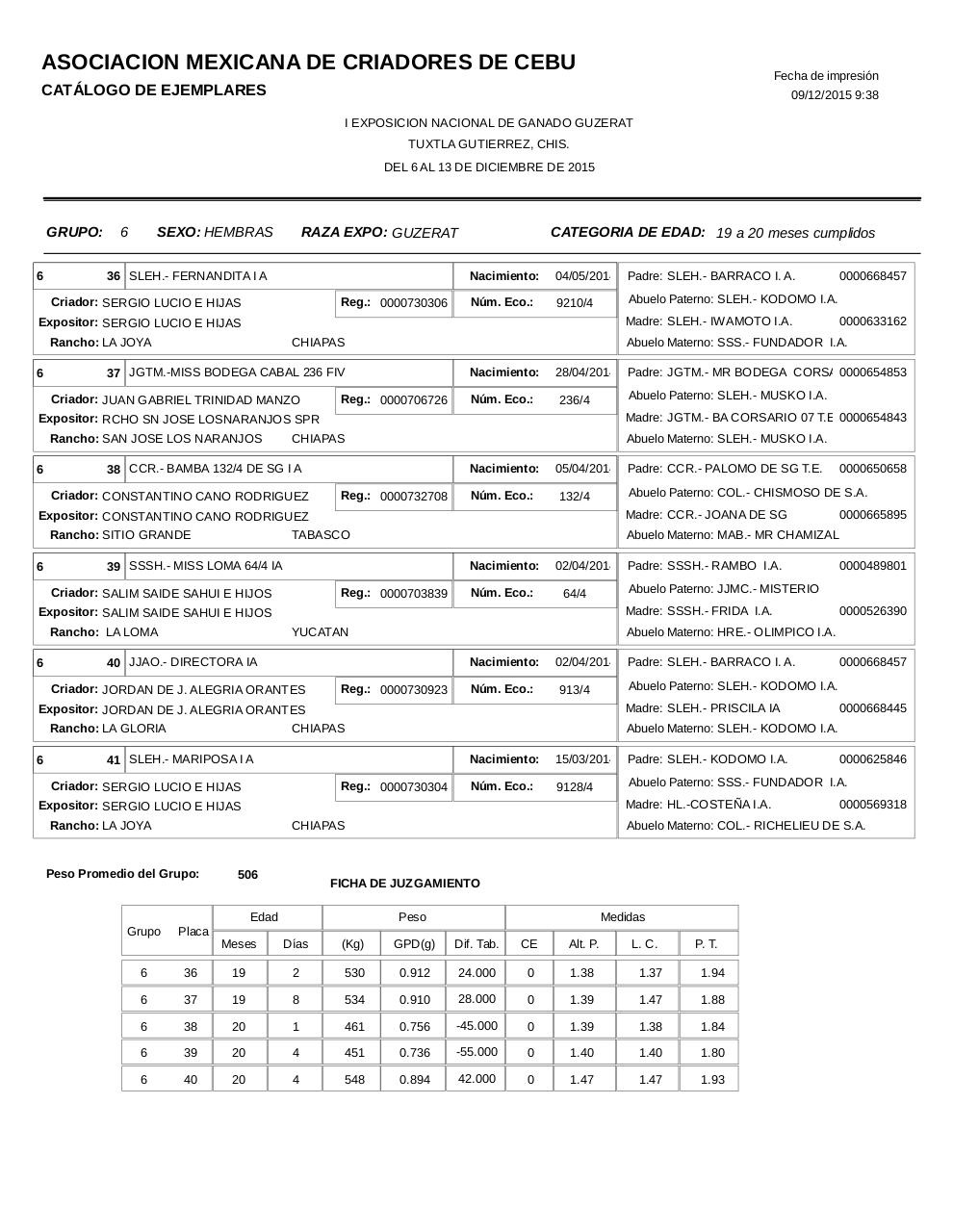 Vista previa del archivo PDF catalogoguzerat.pdf
