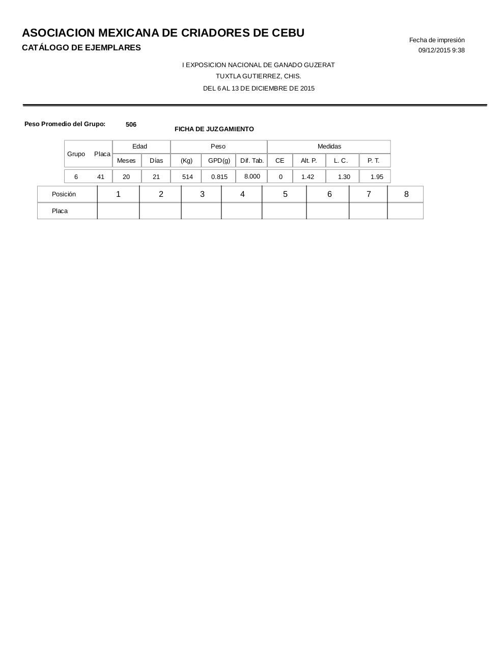 Vista previa del archivo PDF catalogoguzerat.pdf