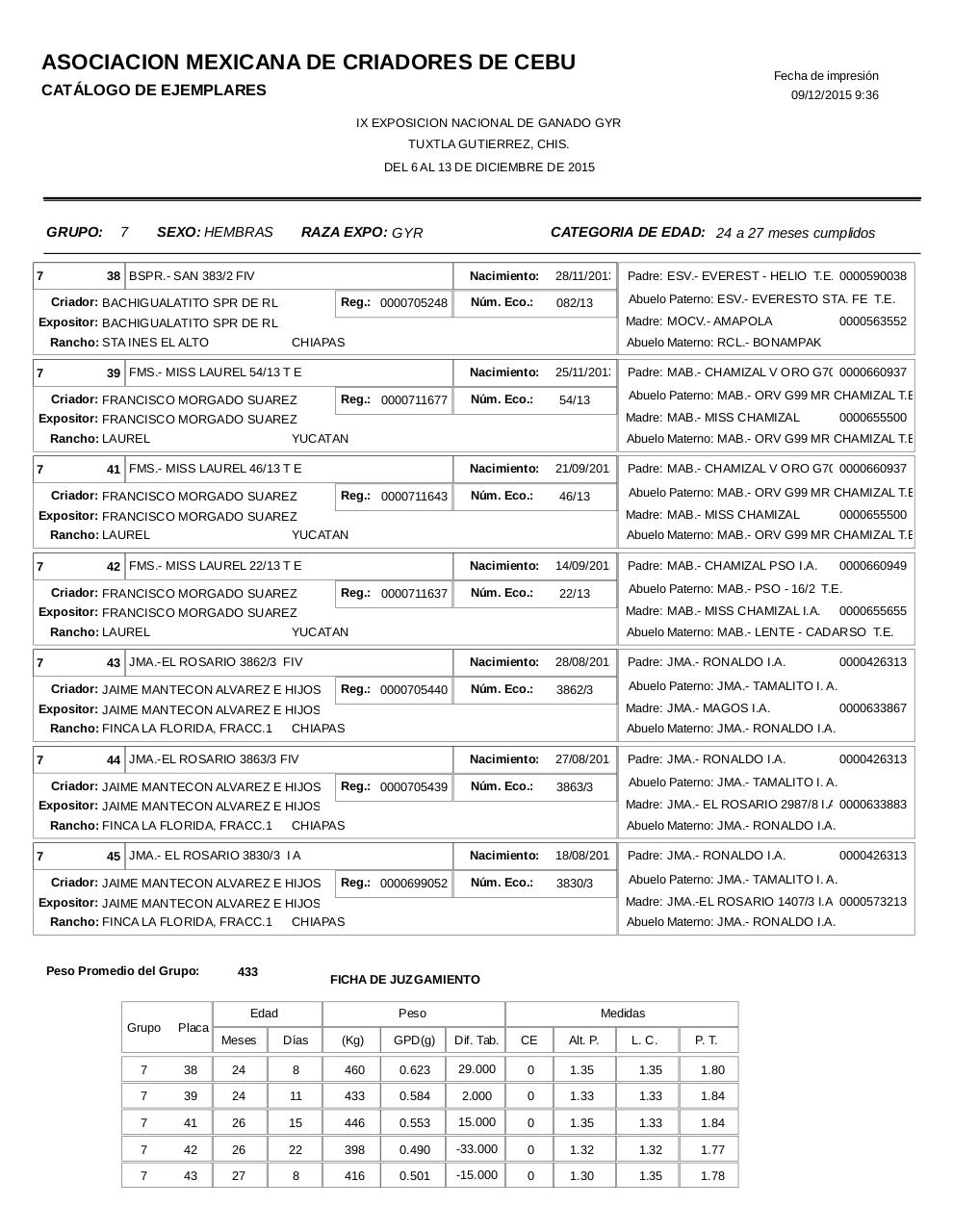 Vista previa del archivo PDF catalogogyr.pdf