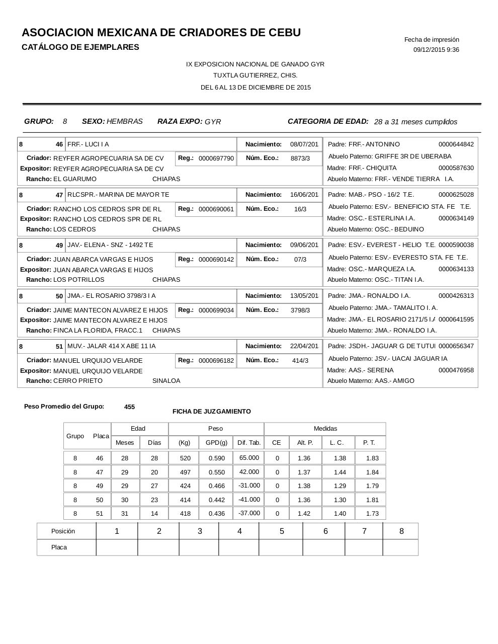 Vista previa del archivo PDF catalogogyr.pdf