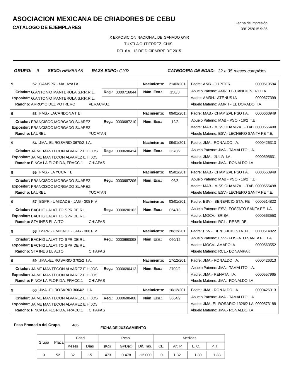 Vista previa del archivo PDF catalogogyr.pdf