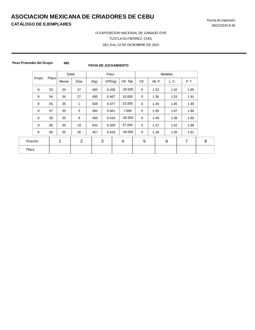 Vista previa del archivo PDF catalogogyr.pdf