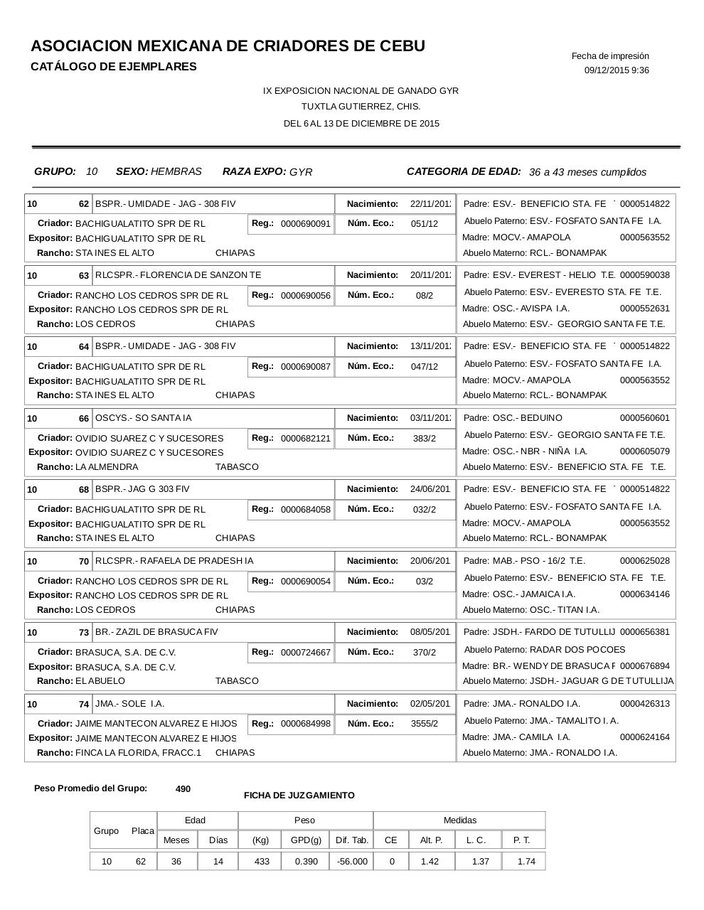 Vista previa del archivo PDF catalogogyr.pdf