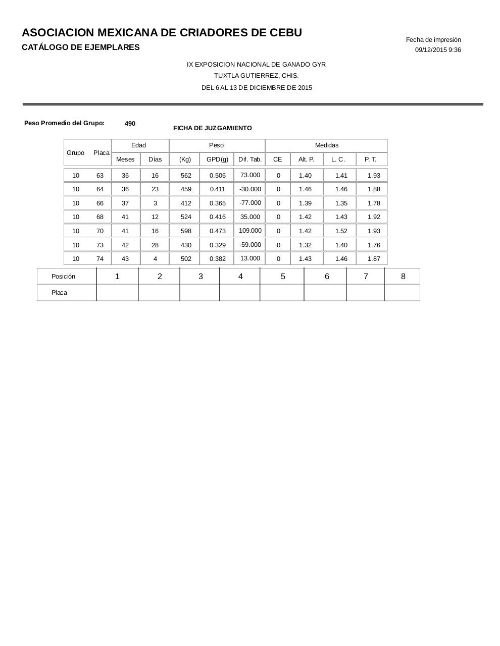 Vista previa del archivo PDF catalogogyr.pdf