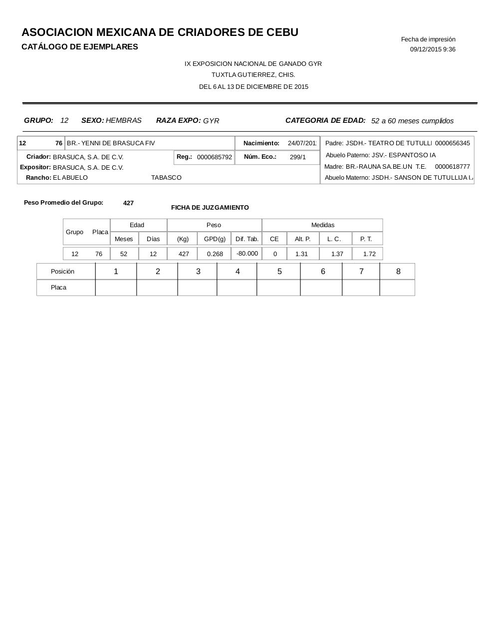 Vista previa del archivo PDF catalogogyr.pdf