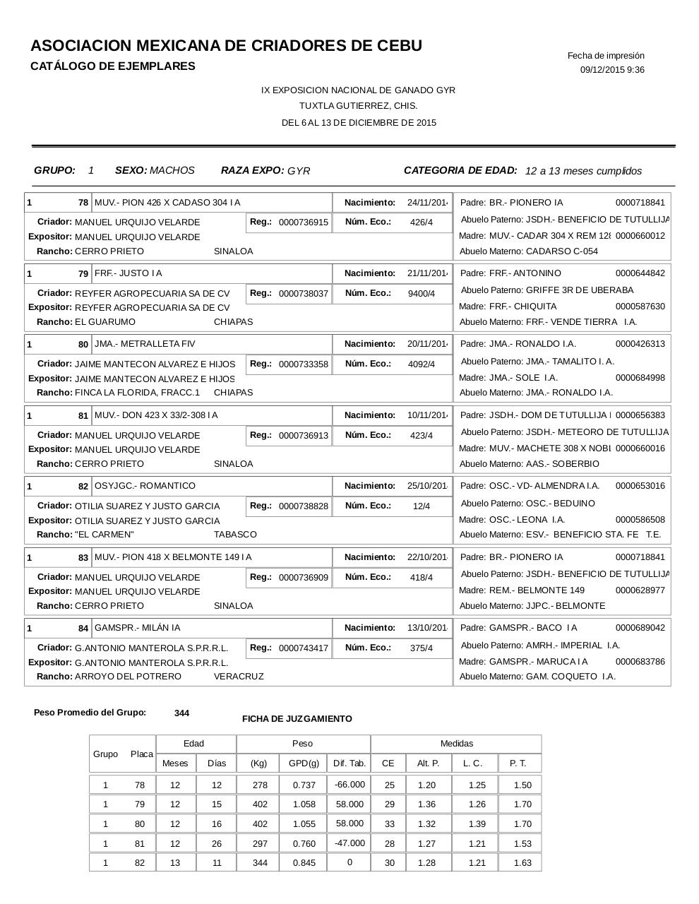 Vista previa del archivo PDF catalogogyr.pdf